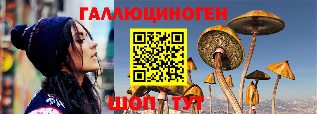 Сатка  Галлюциногенные грибы мицелий  Вход с VPN 
